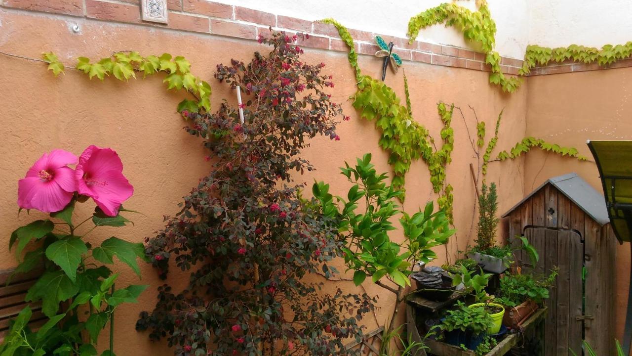 Bed and Breakfast Autan Des Couleurs Albi Exterior foto